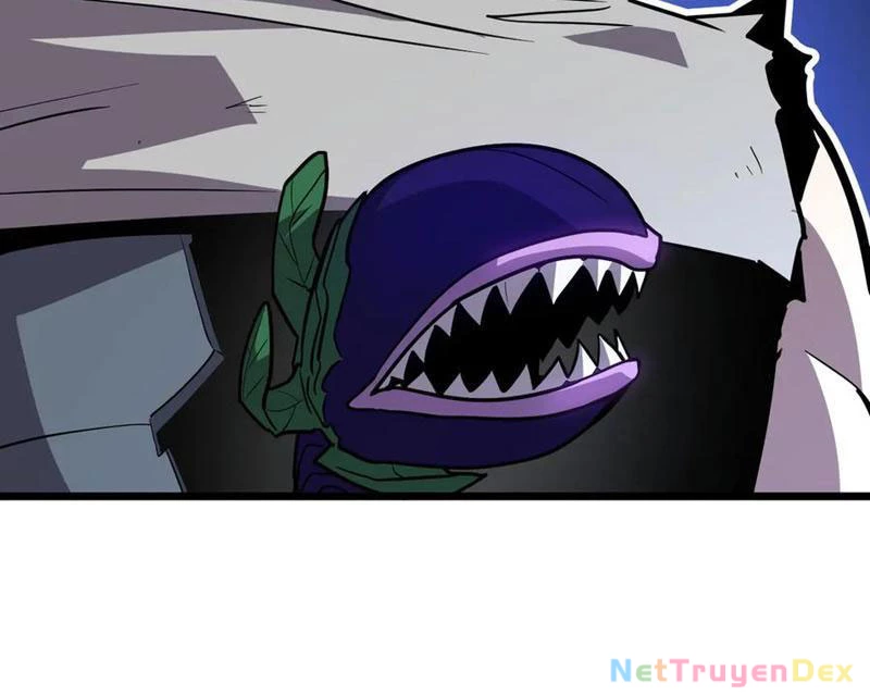 Hệ Thống Của Ta Thật Đứng Đắn Chapter 42 - Trang 4