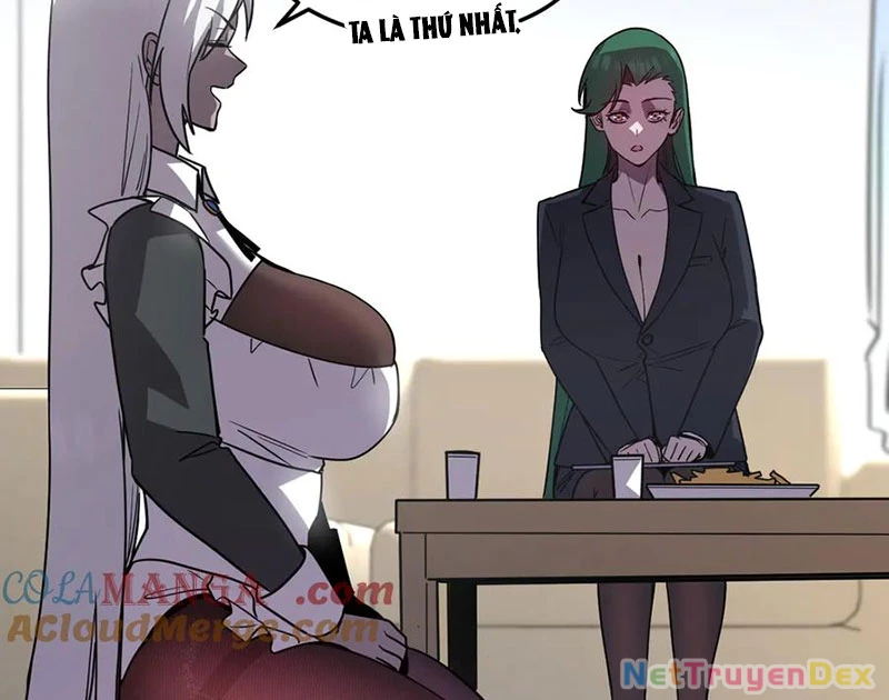 Hệ Thống Của Ta Thật Đứng Đắn Chapter 43 - Trang 4