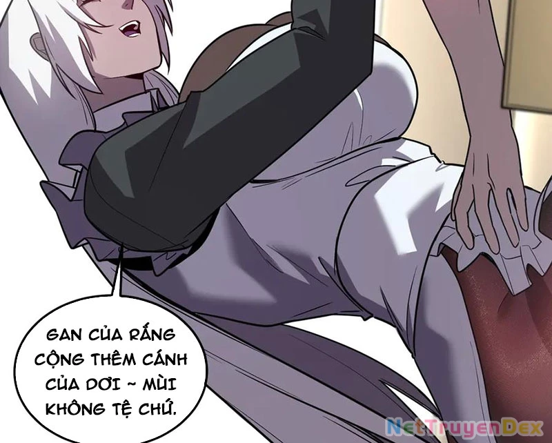 Hệ Thống Của Ta Thật Đứng Đắn Chapter 43 - Trang 4