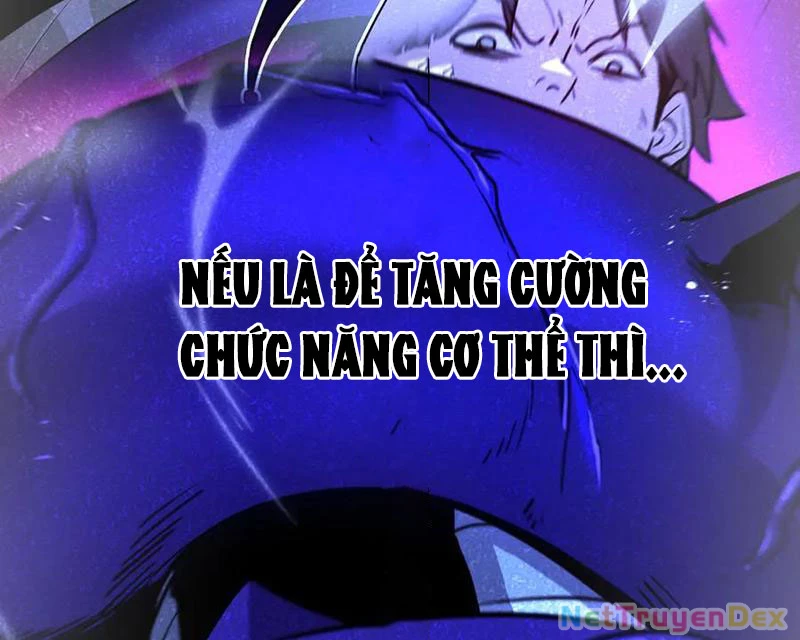 Hệ Thống Của Ta Thật Đứng Đắn Chapter 44 - Trang 4