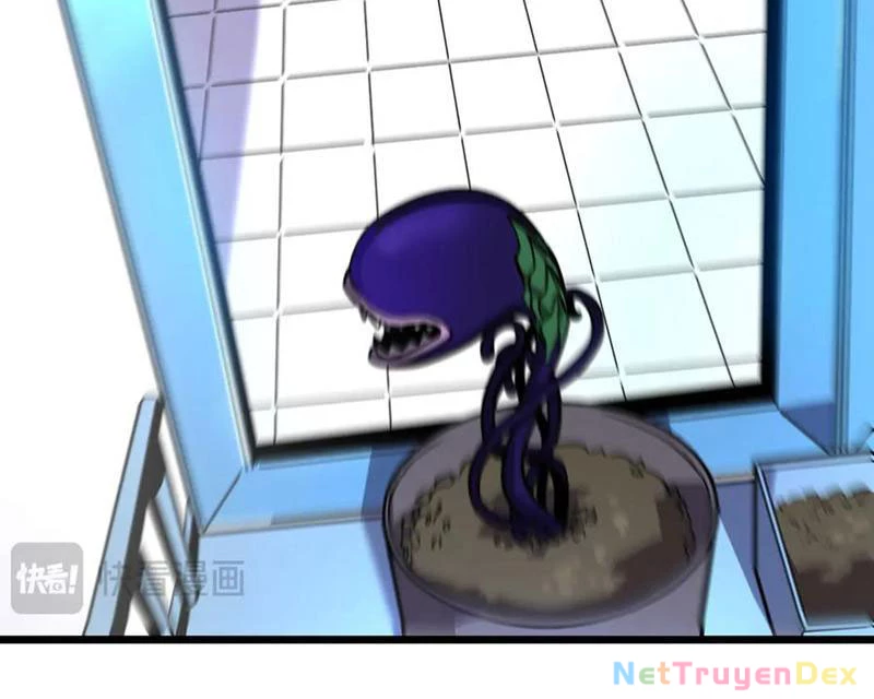 Hệ Thống Của Ta Thật Đứng Đắn Chapter 44 - Trang 4