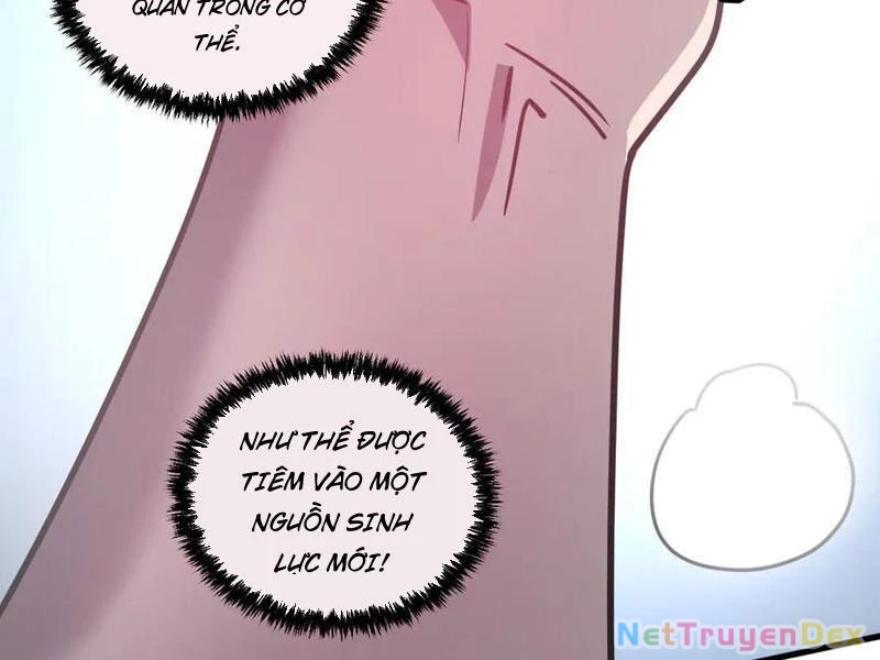 Hệ Thống Của Ta Thật Đứng Đắn Chapter 45 - Trang 4