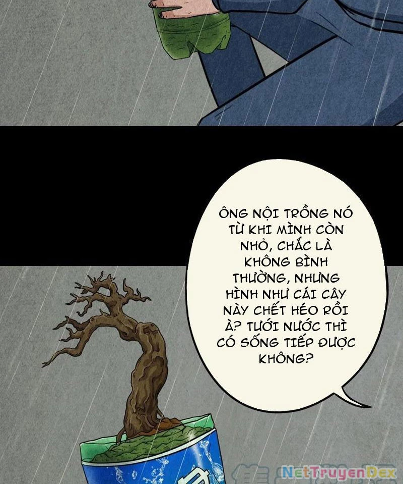 Đấu Yếm Thần Chapter 45 - Trang 3