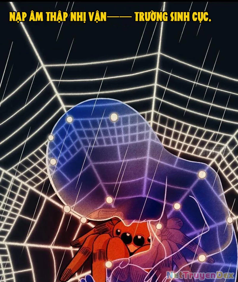 Đấu Yếm Thần Chapter 45 - Trang 3