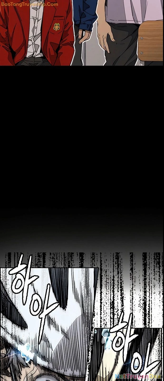 Thể Thao Cực Hạn Chapter 531 - Trang 4