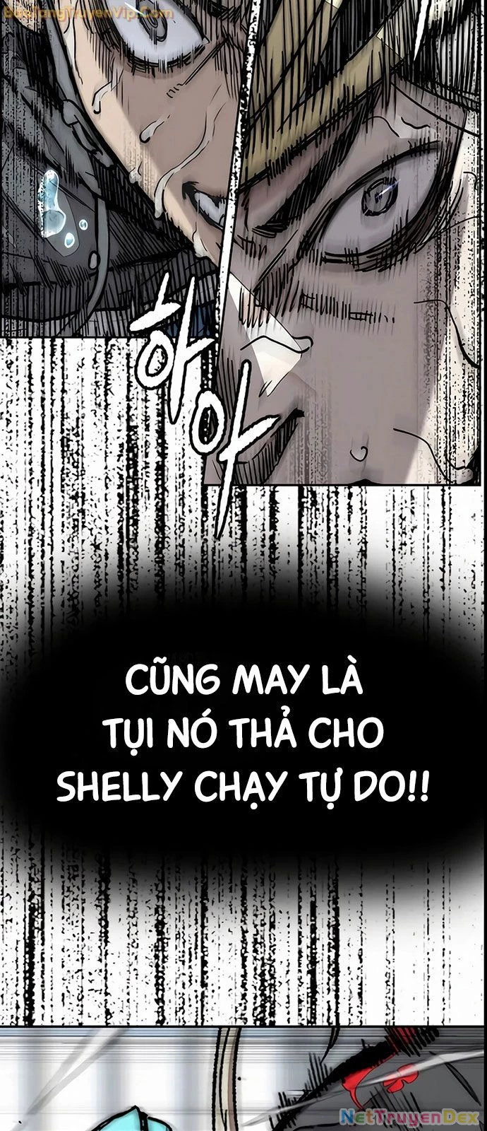 Thể Thao Cực Hạn Chapter 531 - Trang 4