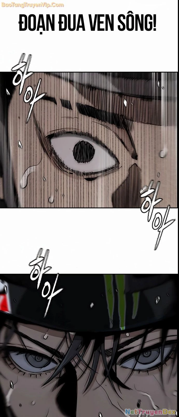 Thể Thao Cực Hạn Chapter 531 - Trang 4