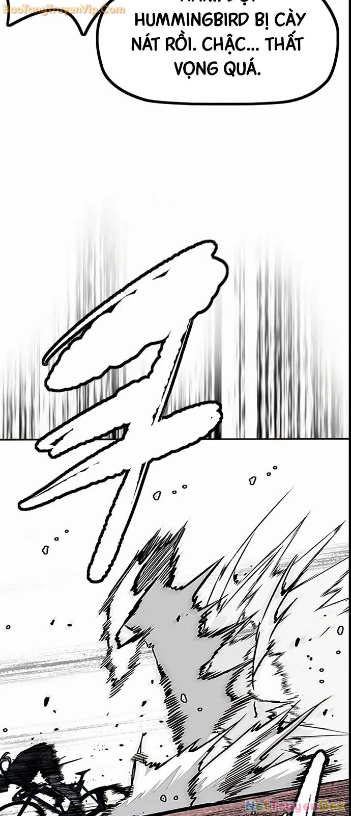 Thể Thao Cực Hạn Chapter 531 - Trang 4