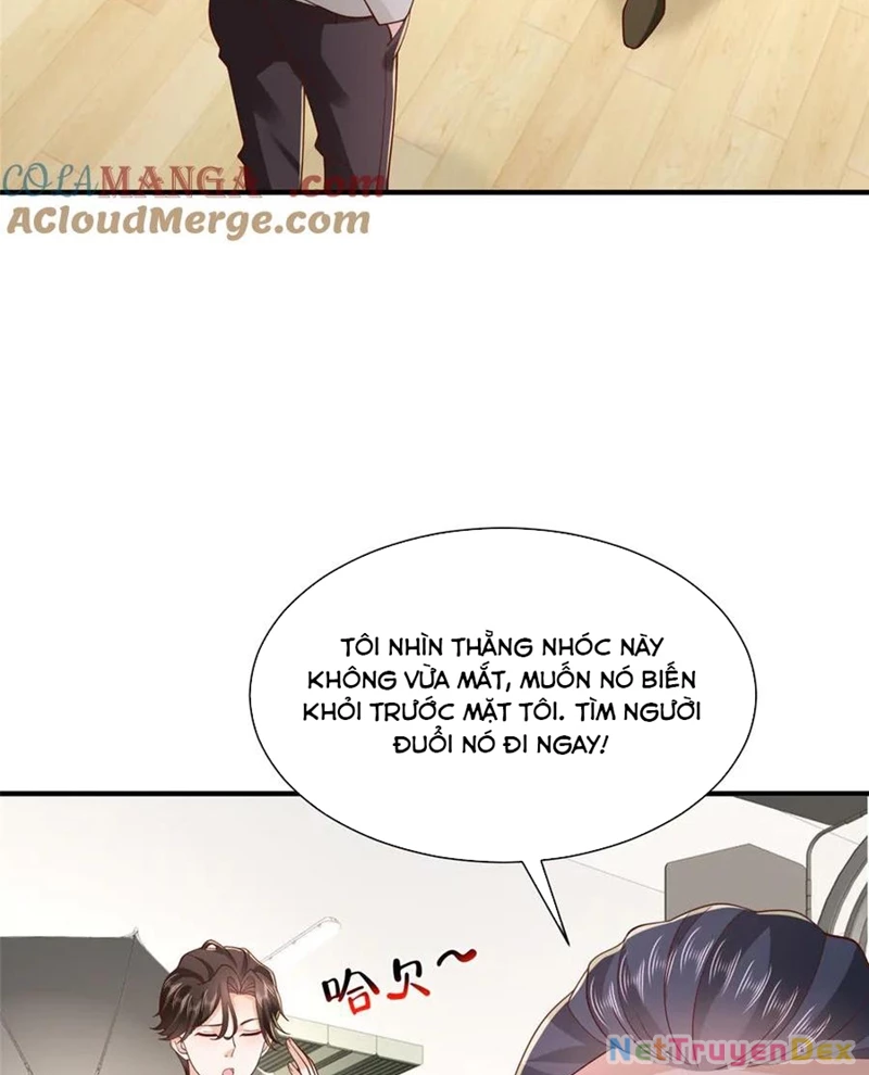 Mỗi Tuần Ta Có Một Nghề Nghiệp Mới Chapter 761 - Trang 4