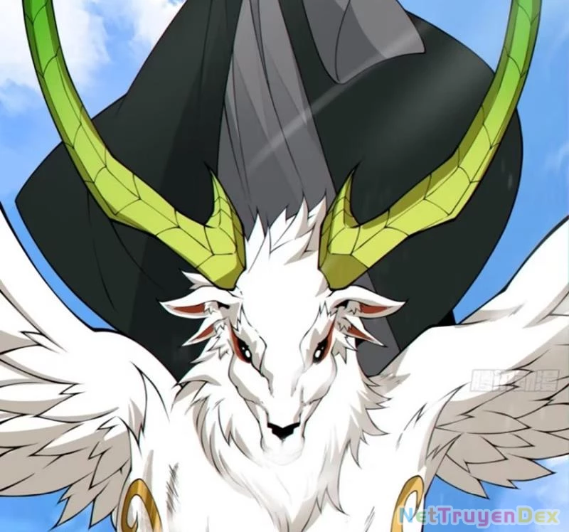 Đồ Đệ Của Ta Đều Là Đại Phản Phái Chapter 326 - Trang 4