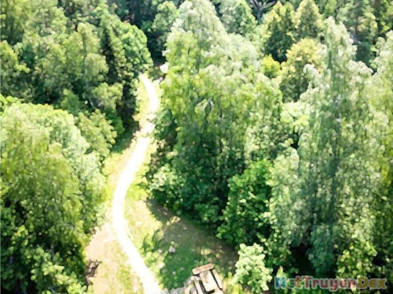 Ta Có 90 Tỷ Tiền Liếm Cẩu! Chapter 463 - Trang 4