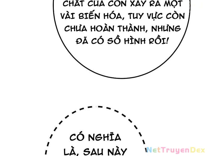 Chưởng Môn Khiêm Tốn Chút Chapter 459 - Trang 4
