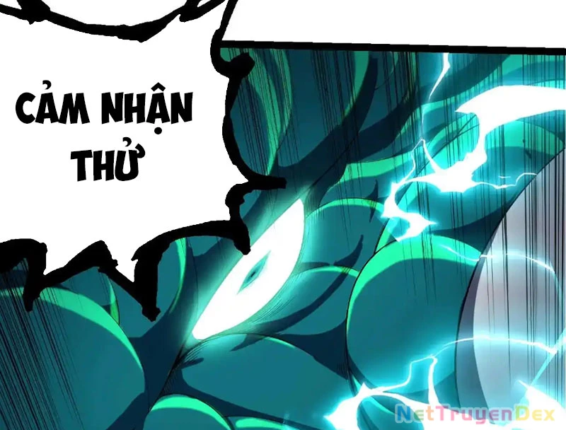 Chuyển Sinh Thành Liễu Đột Biến Chapter 318 - Trang 4