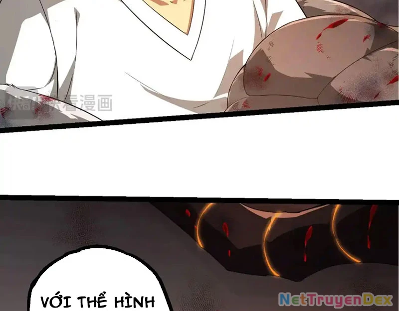 Chuyển Sinh Thành Liễu Đột Biến Chapter 318 - Trang 4