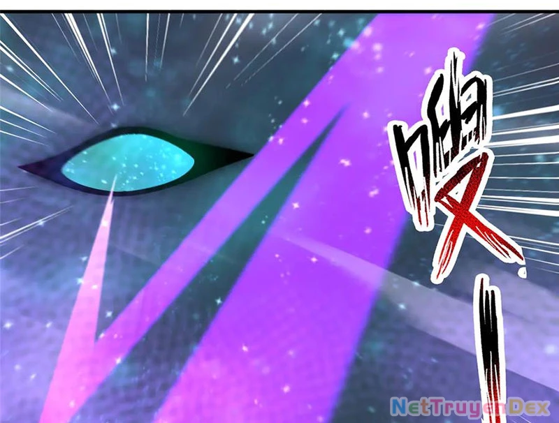 Thần Sủng Tiến Hóa Chapter 372 - Trang 4