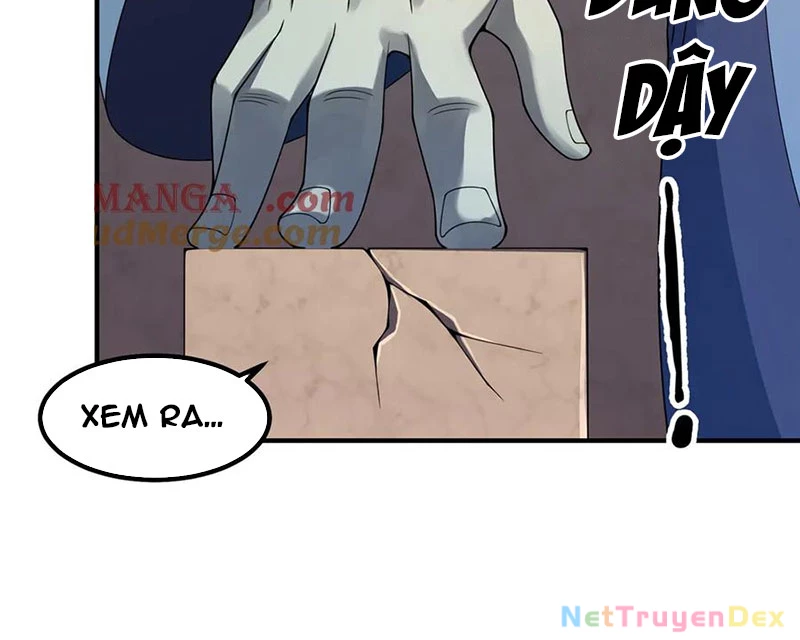 Thần Sủng Tiến Hóa Chapter 372 - Trang 4