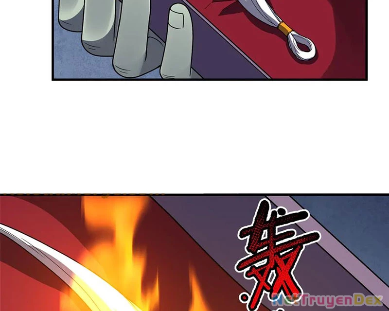 Thần Sủng Tiến Hóa Chapter 372 - Trang 4