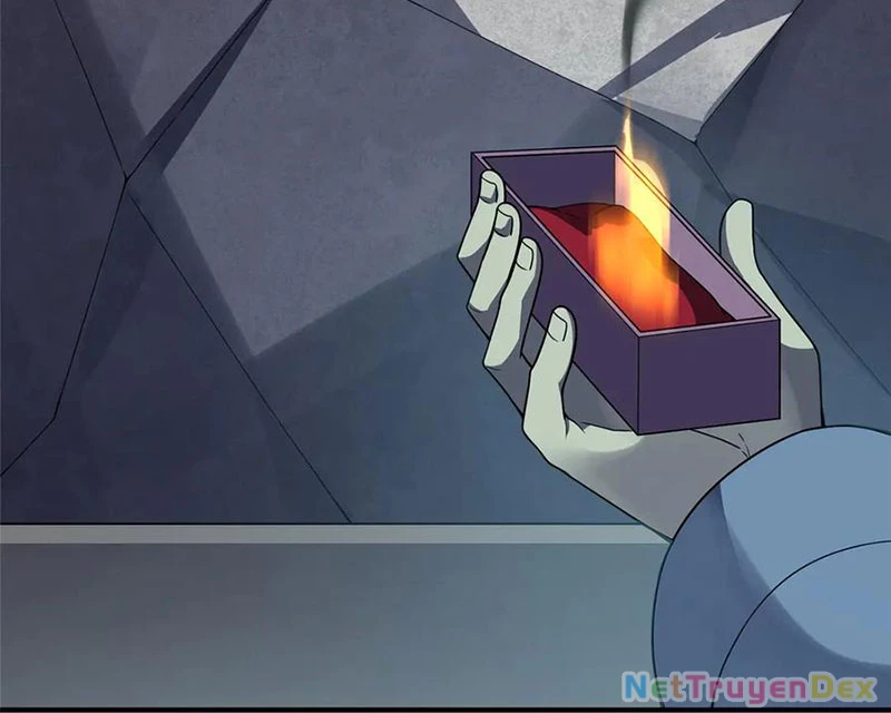 Thần Sủng Tiến Hóa Chapter 372 - Trang 4