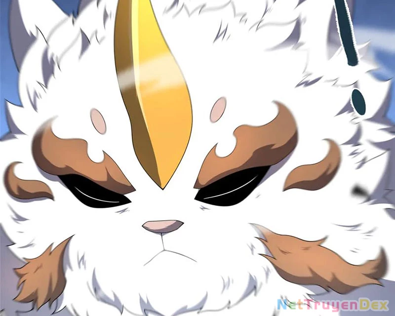 Thần Sủng Tiến Hóa Chapter 372 - Trang 4