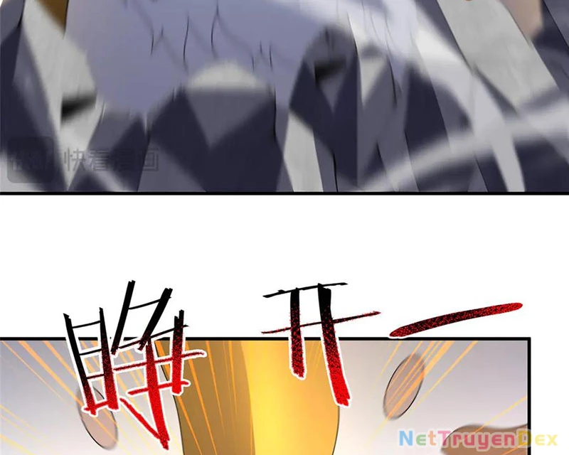 Thần Sủng Tiến Hóa Chapter 372 - Trang 4