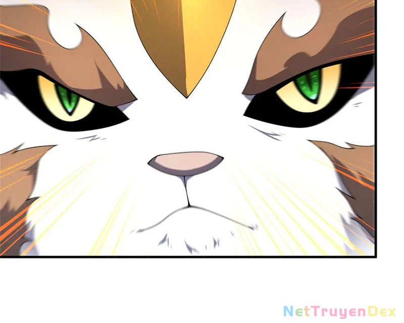 Thần Sủng Tiến Hóa Chapter 372 - Trang 4