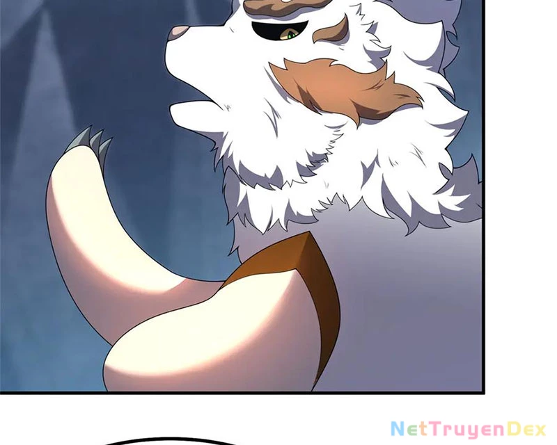 Thần Sủng Tiến Hóa Chapter 372 - Trang 4