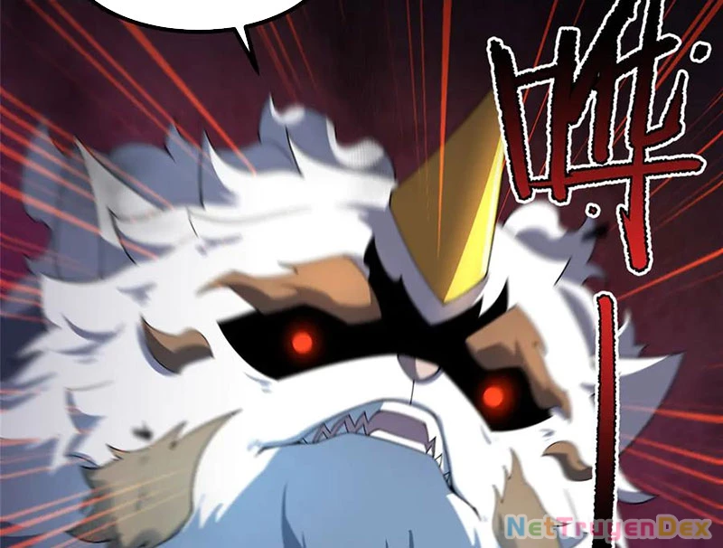 Thần Sủng Tiến Hóa Chapter 372 - Trang 4