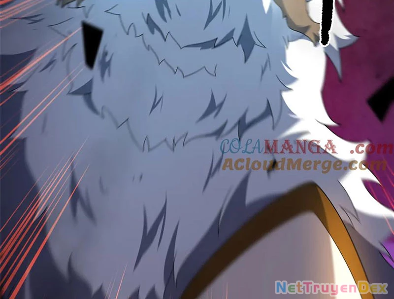 Thần Sủng Tiến Hóa Chapter 372 - Trang 4