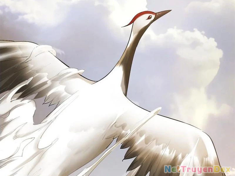 Hồng Hoang: Bắt Đầu Từ Việc Nhận Minh Hà Làm Con Gái Nuôi Chapter 20 - Trang 3