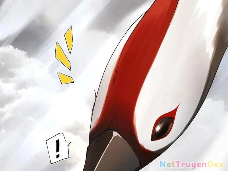 Hồng Hoang: Bắt Đầu Từ Việc Nhận Minh Hà Làm Con Gái Nuôi Chapter 20 - Trang 3