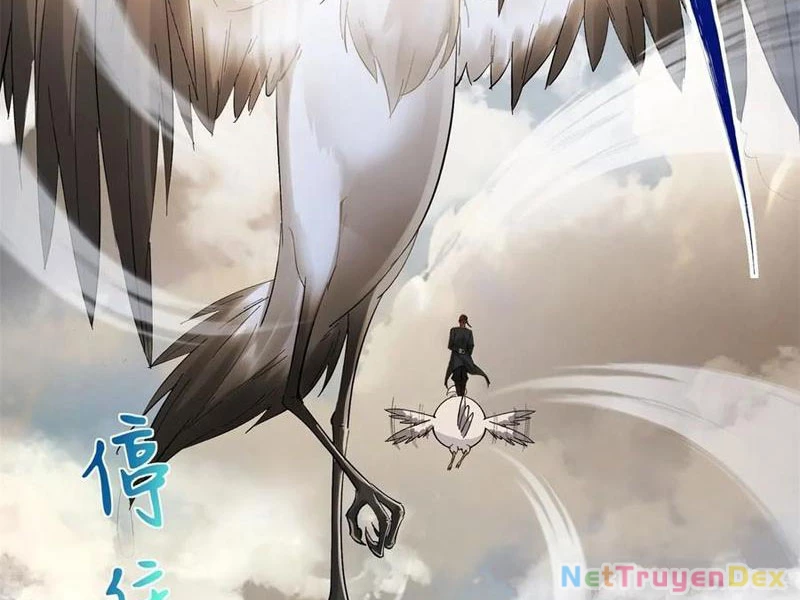 Hồng Hoang: Bắt Đầu Từ Việc Nhận Minh Hà Làm Con Gái Nuôi Chapter 20 - Trang 3