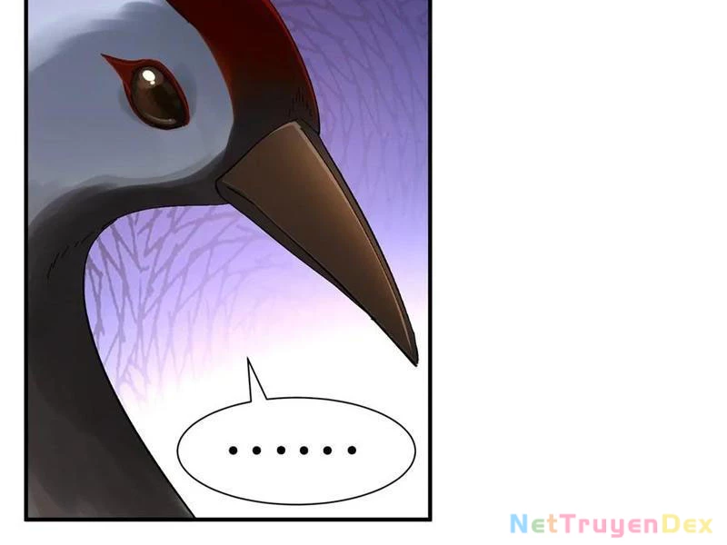 Hồng Hoang: Bắt Đầu Từ Việc Nhận Minh Hà Làm Con Gái Nuôi Chapter 20 - Trang 3