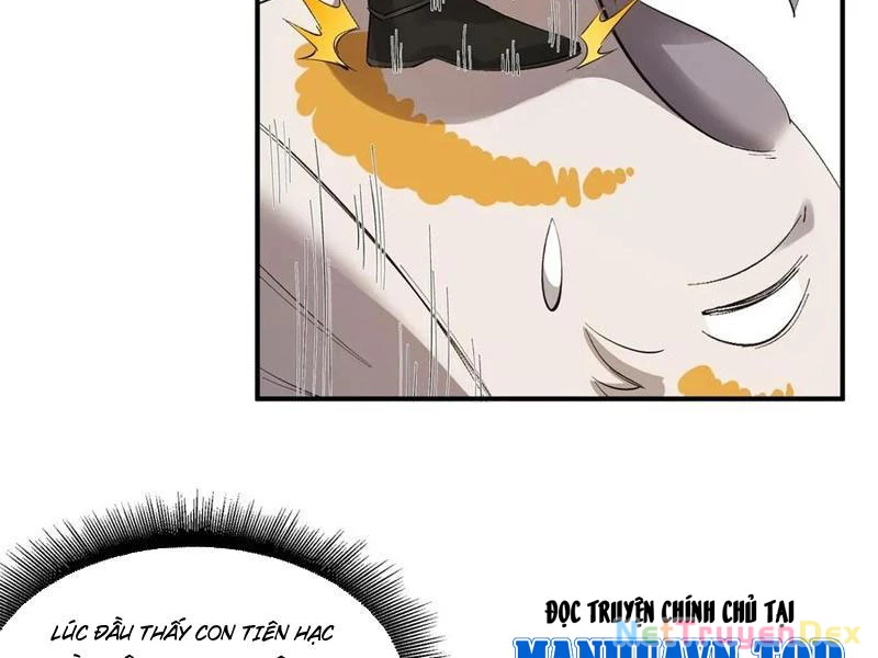 Hồng Hoang: Bắt Đầu Từ Việc Nhận Minh Hà Làm Con Gái Nuôi Chapter 20 - Trang 3