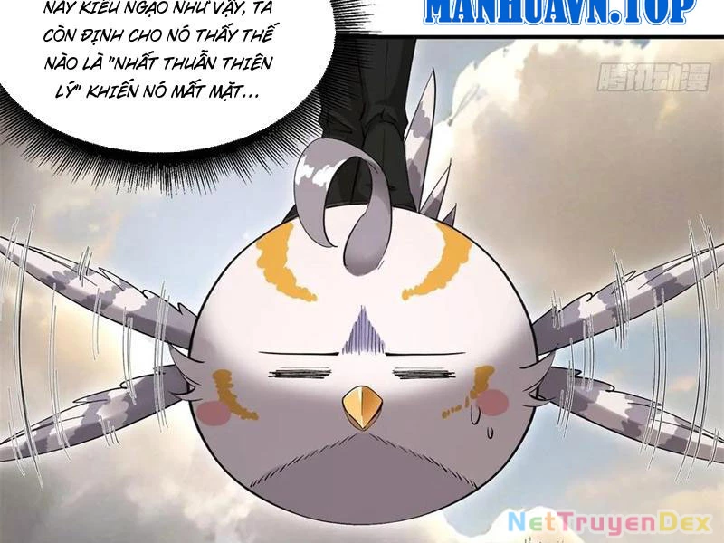 Hồng Hoang: Bắt Đầu Từ Việc Nhận Minh Hà Làm Con Gái Nuôi Chapter 20 - Trang 3