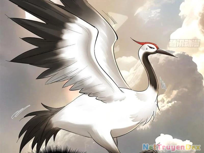 Hồng Hoang: Bắt Đầu Từ Việc Nhận Minh Hà Làm Con Gái Nuôi Chapter 20 - Trang 3