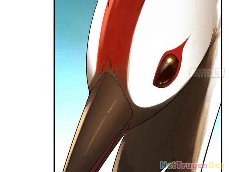 Hồng Hoang: Bắt Đầu Từ Việc Nhận Minh Hà Làm Con Gái Nuôi Chapter 20 - Trang 3