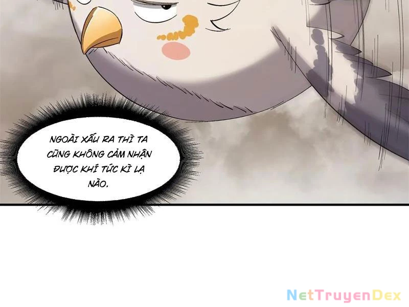 Hồng Hoang: Bắt Đầu Từ Việc Nhận Minh Hà Làm Con Gái Nuôi Chapter 20 - Trang 3