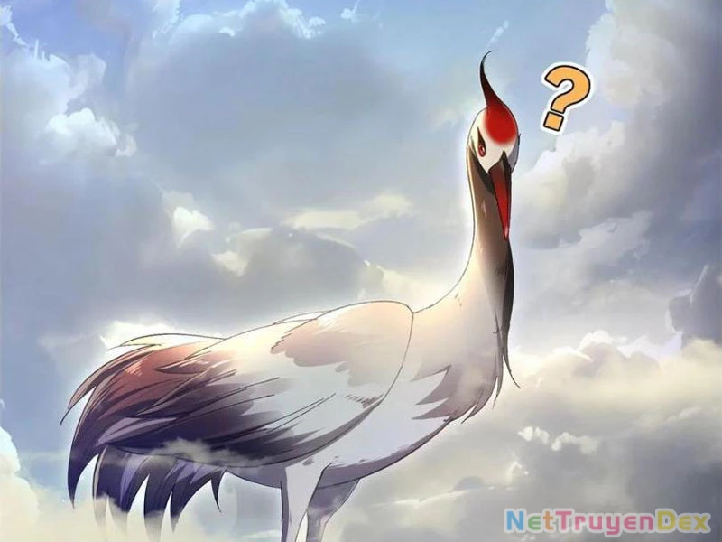 Hồng Hoang: Bắt Đầu Từ Việc Nhận Minh Hà Làm Con Gái Nuôi Chapter 21 - Trang 3