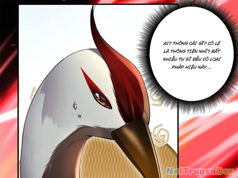 Hồng Hoang: Bắt Đầu Từ Việc Nhận Minh Hà Làm Con Gái Nuôi Chapter 21 - Trang 3