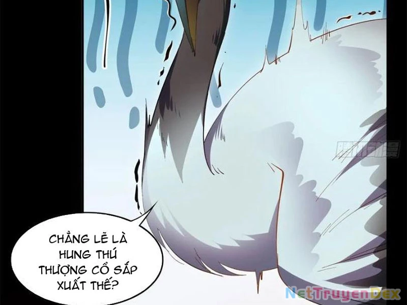 Hồng Hoang: Bắt Đầu Từ Việc Nhận Minh Hà Làm Con Gái Nuôi Chapter 21 - Trang 3