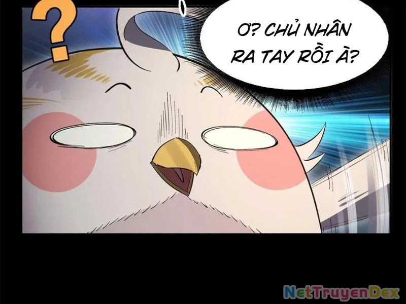 Hồng Hoang: Bắt Đầu Từ Việc Nhận Minh Hà Làm Con Gái Nuôi Chapter 21 - Trang 3