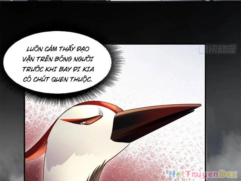 Hồng Hoang: Bắt Đầu Từ Việc Nhận Minh Hà Làm Con Gái Nuôi Chapter 21 - Trang 3