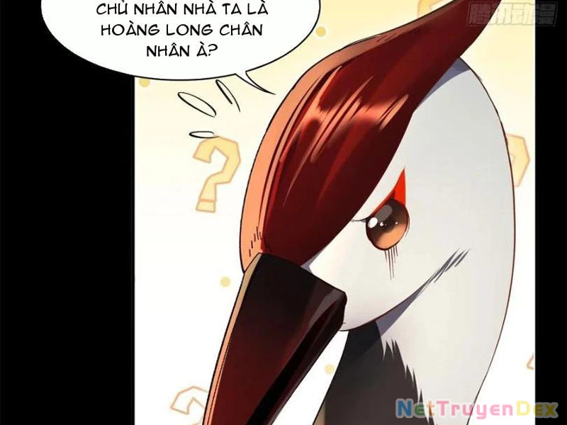 Hồng Hoang: Bắt Đầu Từ Việc Nhận Minh Hà Làm Con Gái Nuôi Chapter 21 - Trang 3