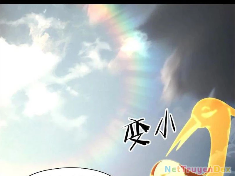 Hồng Hoang: Bắt Đầu Từ Việc Nhận Minh Hà Làm Con Gái Nuôi Chapter 21 - Trang 3