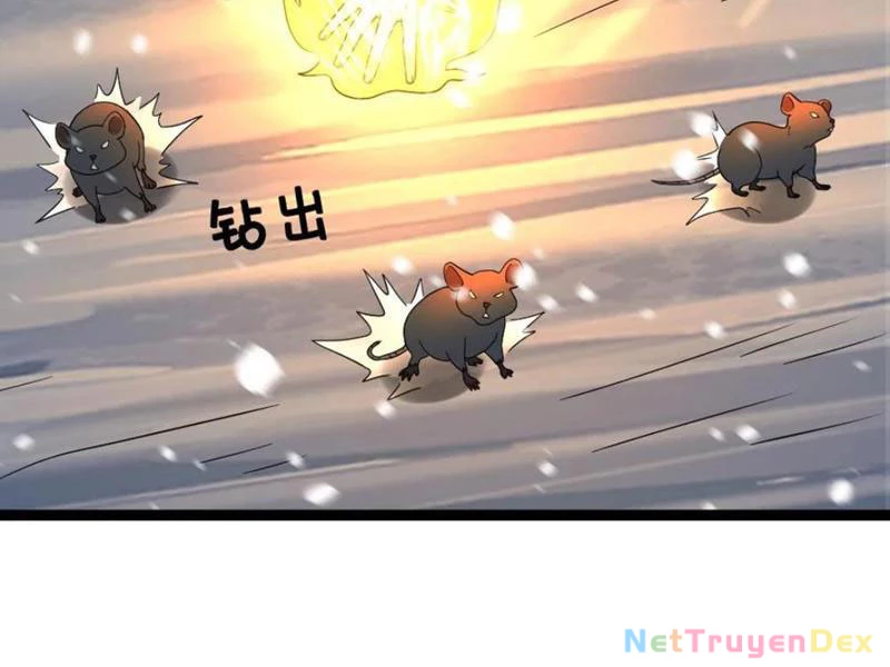 Toàn Cầu Băng Phong: Ta Chế Tạo Phòng An Toàn Tại Tận Thế Chapter 555 - Trang 4