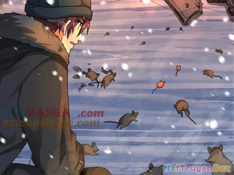 Toàn Cầu Băng Phong: Ta Chế Tạo Phòng An Toàn Tại Tận Thế Chapter 555 - Trang 4