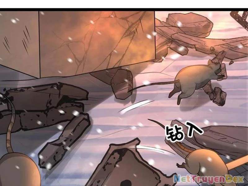 Toàn Cầu Băng Phong: Ta Chế Tạo Phòng An Toàn Tại Tận Thế Chapter 555 - Trang 4