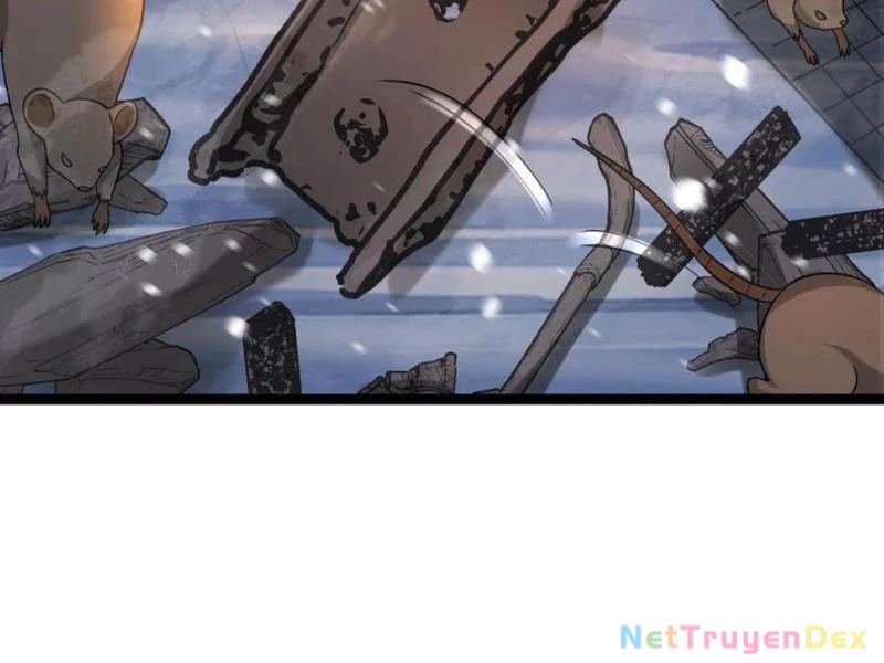 Toàn Cầu Băng Phong: Ta Chế Tạo Phòng An Toàn Tại Tận Thế Chapter 555 - Trang 4