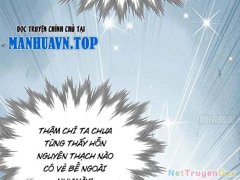 Hoá Ra Ta Đã Vô Địch Từ Lâu Chapter 227 - Trang 4