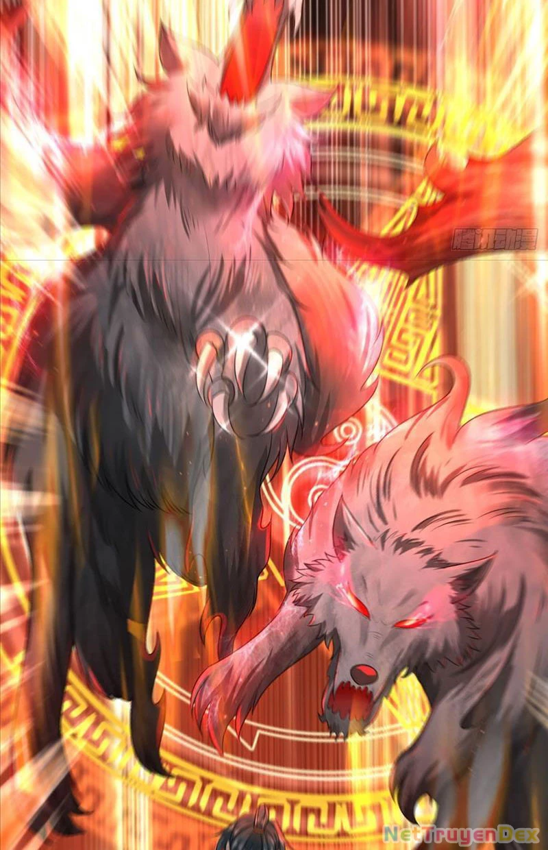 Võ đạo đại đế Chapter 5 - Trang 2